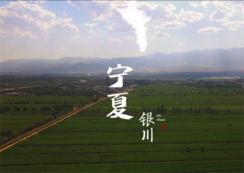 &#20048;&#31454;&#25163;&#26426;&#29256;&#45;&#20048;&#31454;&#108;&#101;&#106;&#105;&#110;&#103;&#40;&#20013;&#22269;&#41;