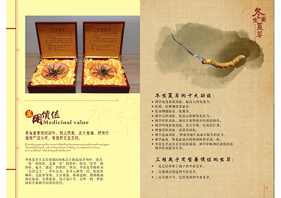 &#20048;&#31454;&#25163;&#26426;&#29256;&#45;&#20048;&#31454;&#108;&#101;&#106;&#105;&#110;&#103;&#40;&#20013;&#22269;&#41;