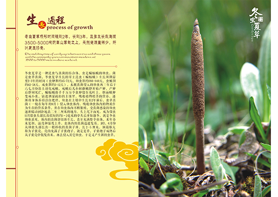 &#20048;&#31454;&#25163;&#26426;&#29256;&#45;&#20048;&#31454;&#108;&#101;&#106;&#105;&#110;&#103;&#40;&#20013;&#22269;&#41;