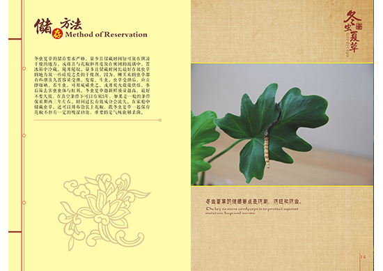 &#20048;&#31454;&#25163;&#26426;&#29256;&#45;&#20048;&#31454;&#108;&#101;&#106;&#105;&#110;&#103;&#40;&#20013;&#22269;&#41;